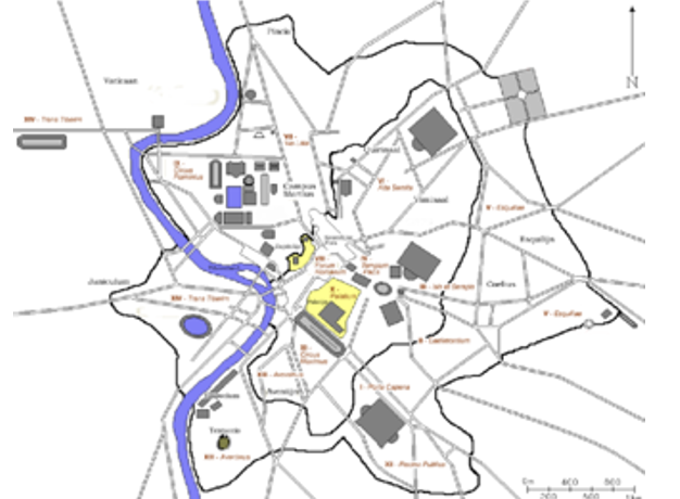 term image