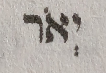 term image