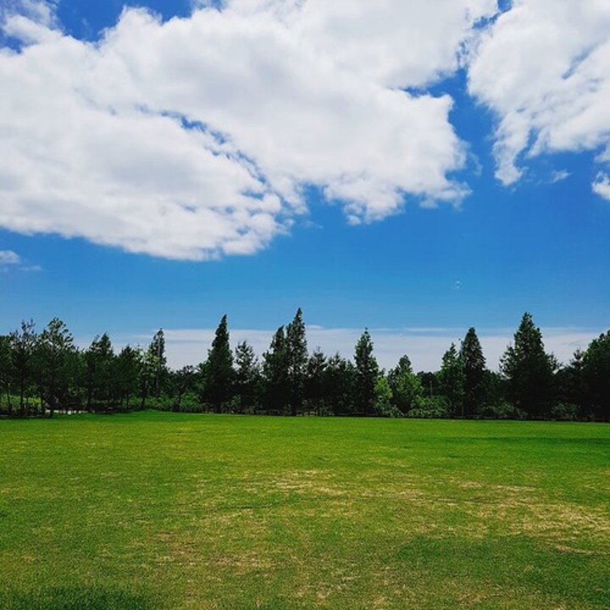 <p>weather is nice</p>