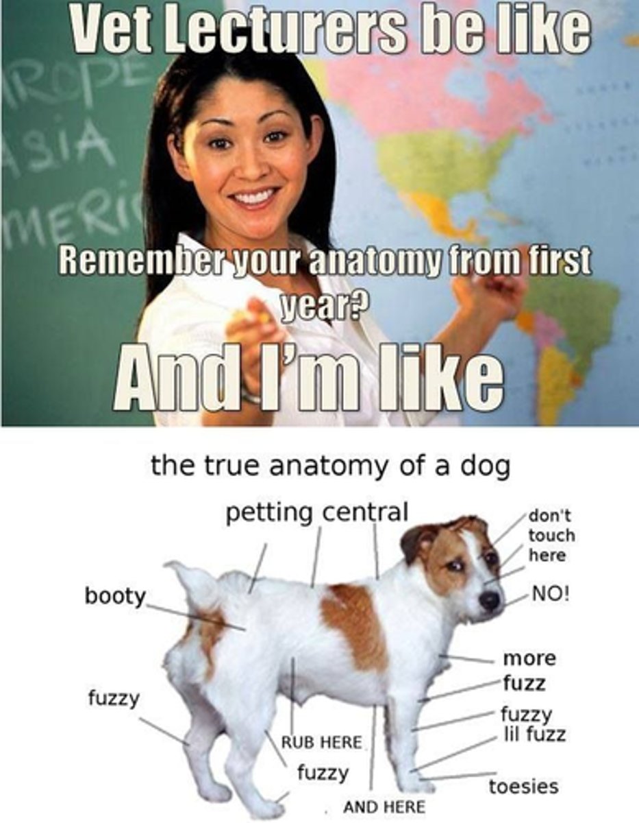 <p>- Get a baseline HR for comparison</p>