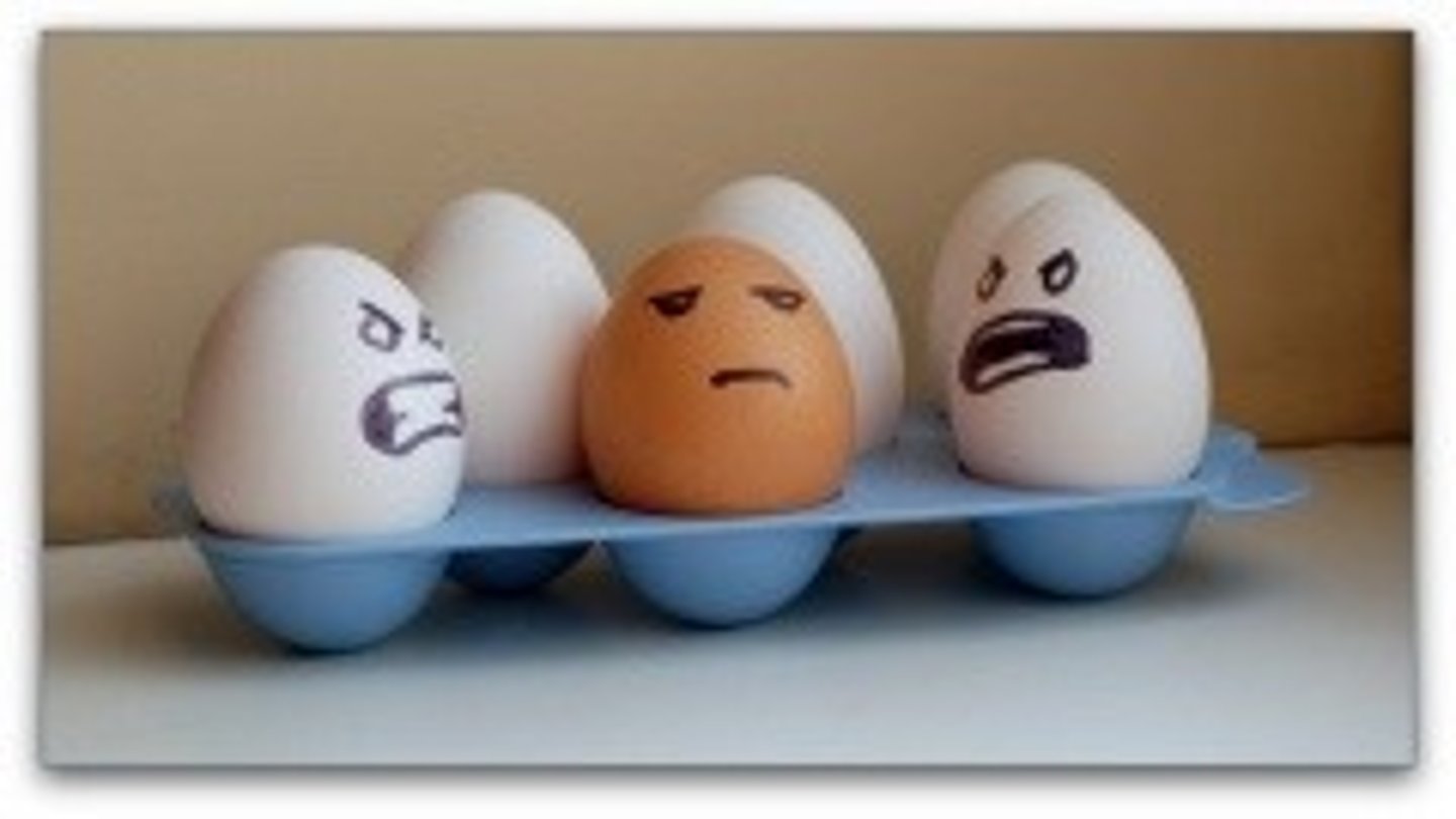<p>prejudice</p>