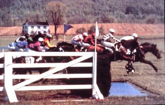 <p>Steeplechase</p>
