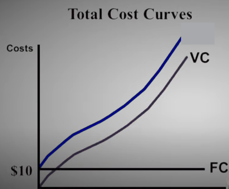 <p>The cost of all factors of production that a firm uses. </p><p>The sum of Total Fixed Cost and Total Variable Cost</p><img src="https://knowt-user-attachments.s3.amazonaws.com/45393a42-1196-4467-a8ca-85e1c56a2896.png" data-width="100%" data-align="center"><p></p>