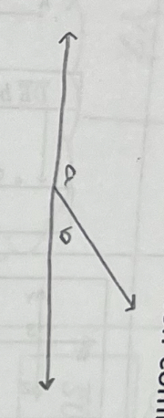 <p>2 adjacent angels whose non-common sides are opposite rays</p><p></p>