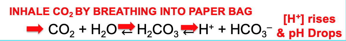 high blood pH, rebreathing pushes CO2 into the body, and increases \[H+\] returning blood pH to 7.4
