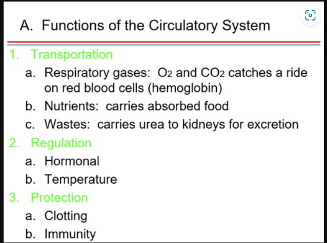 <p>What is the function of the blood/circulatory system?</p>