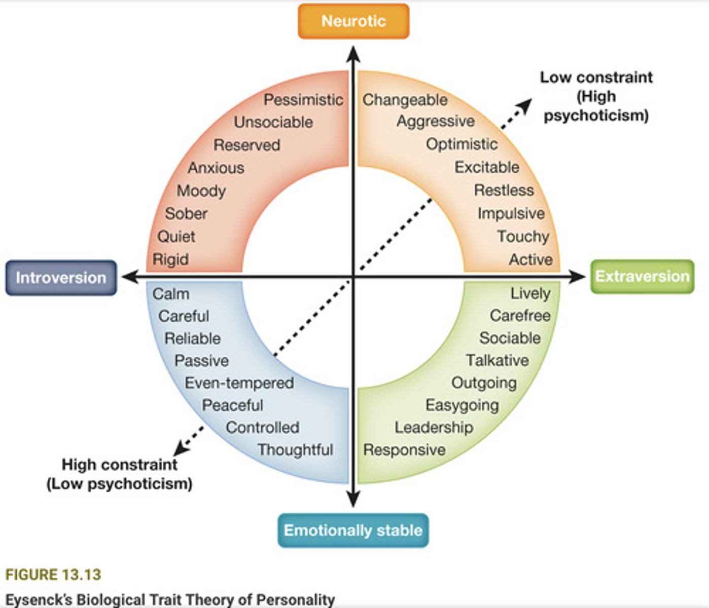 <p>1. Extraversion-Introversion: This dimension reflects a person's level of sociability and stimulation-seeking behavior. Extraverts tend to be outgoing, sociable, and enjoy social interaction. Introverts, on the other hand, tend to be more reserved, quiet, and prefer solitary activities.</p><p>2. Neuroticism-Stability: This dimension reflects a person's emotional stability. Neurotic individuals tend to be anxious, moody, and vulnerable to stress. Stable individuals tend to be calm, relaxed, and emotionally resilient.</p><p>3. Psychoticism: This dimension reflects a person's tendency towards impulsivity, aggression, and a lack of empathy. Individuals high in psychoticism are often seen as cold, callous, and insensitive.</p>