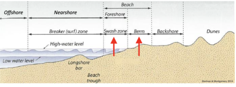            

Offshore                                        

Deep water waves (lower energy, not interacting with the sea floor, fine grains

 

Breaking waves, higher energy, Waves are starting to break and release their energy, stir and move sediment on sea floor, coarse grains

 

Onshore

Aeolian processes, lower energy, Wind processes but don’t have as much energy as a wave, finer sediment

      