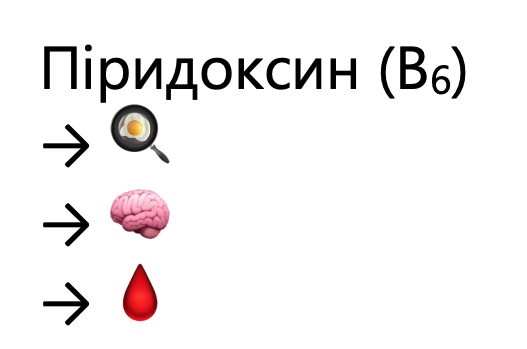 <ul><li><p>обмін білків </p></li><li><p>робота нервової системи</p></li><li><p>кровоутворення</p></li></ul><p></p>