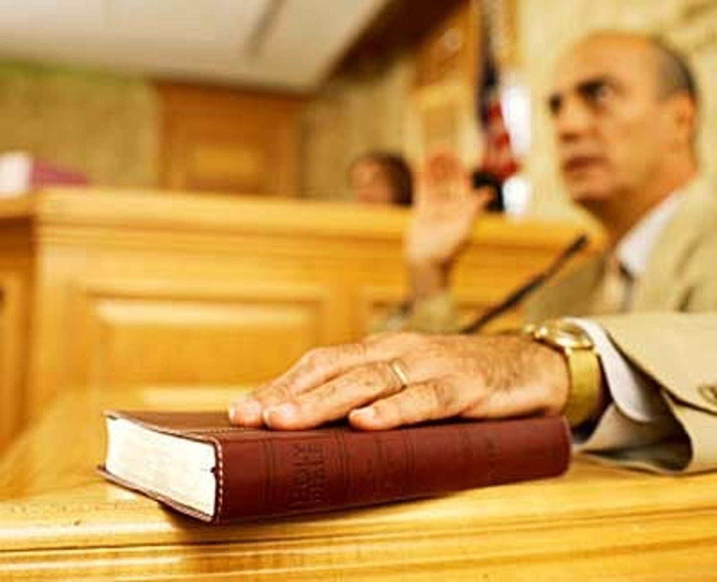 <p>witness</p>