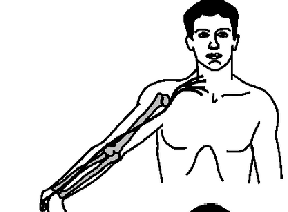 <p>median N</p><p>C5-7</p>