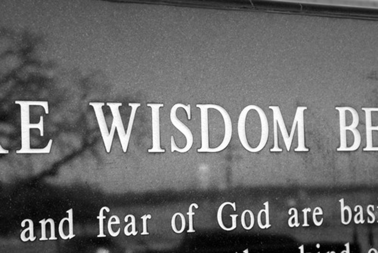 <p>wisdom</p>
