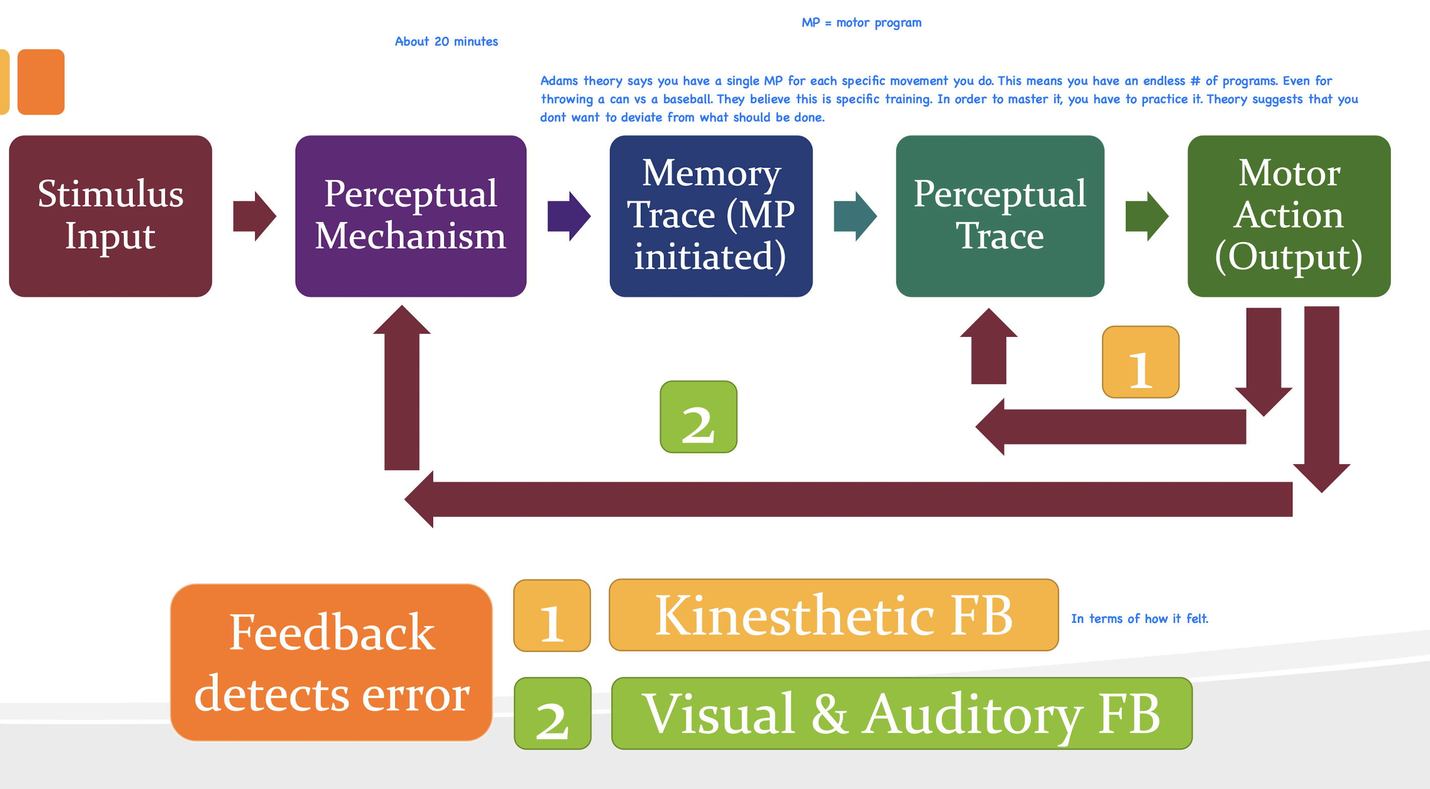 <p>Based on closed-loop control </p><p>Sensory feedback from ongoing movement is compared with stored memory of the intended movement (perceptual trace) to provide the CNS with a reference of correctness and error detection. </p><p>The stronger the perceptual trace developed through practice, the greater the capability of the learner to use closed-loop processes for learning movements. </p>