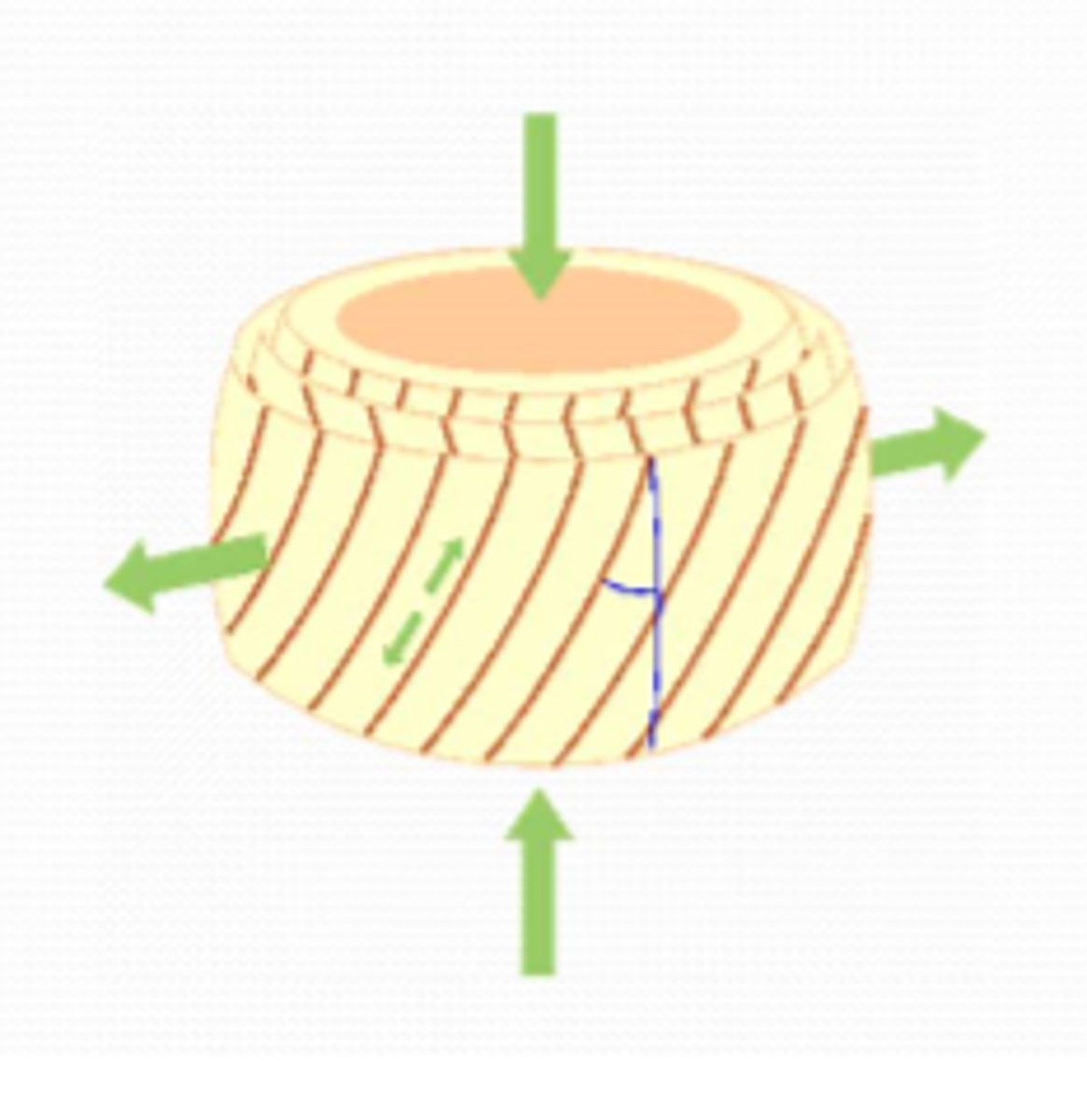 <p>____________________ stresses on the disc (hydrostatic pressure) translate into ______________ stresses in the annulus fibrosis.</p>