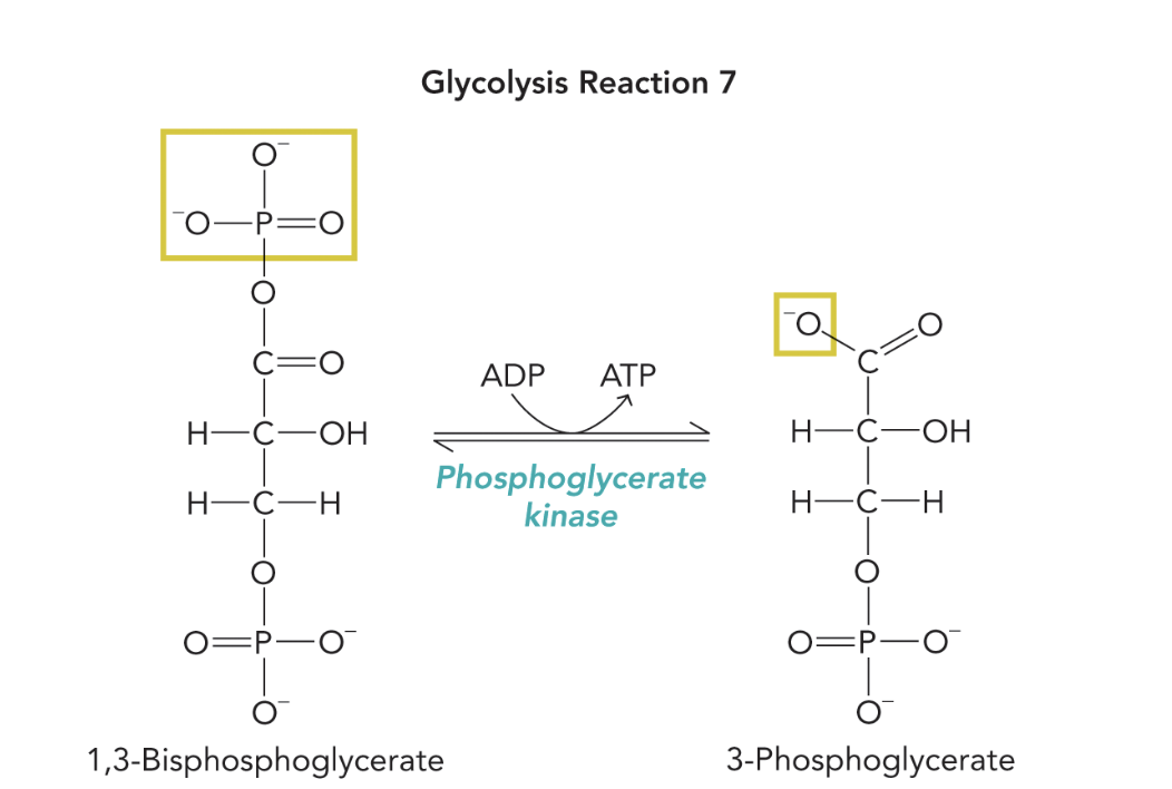 <p><strong>Q:</strong> What does Figure 9.29 show?</p>