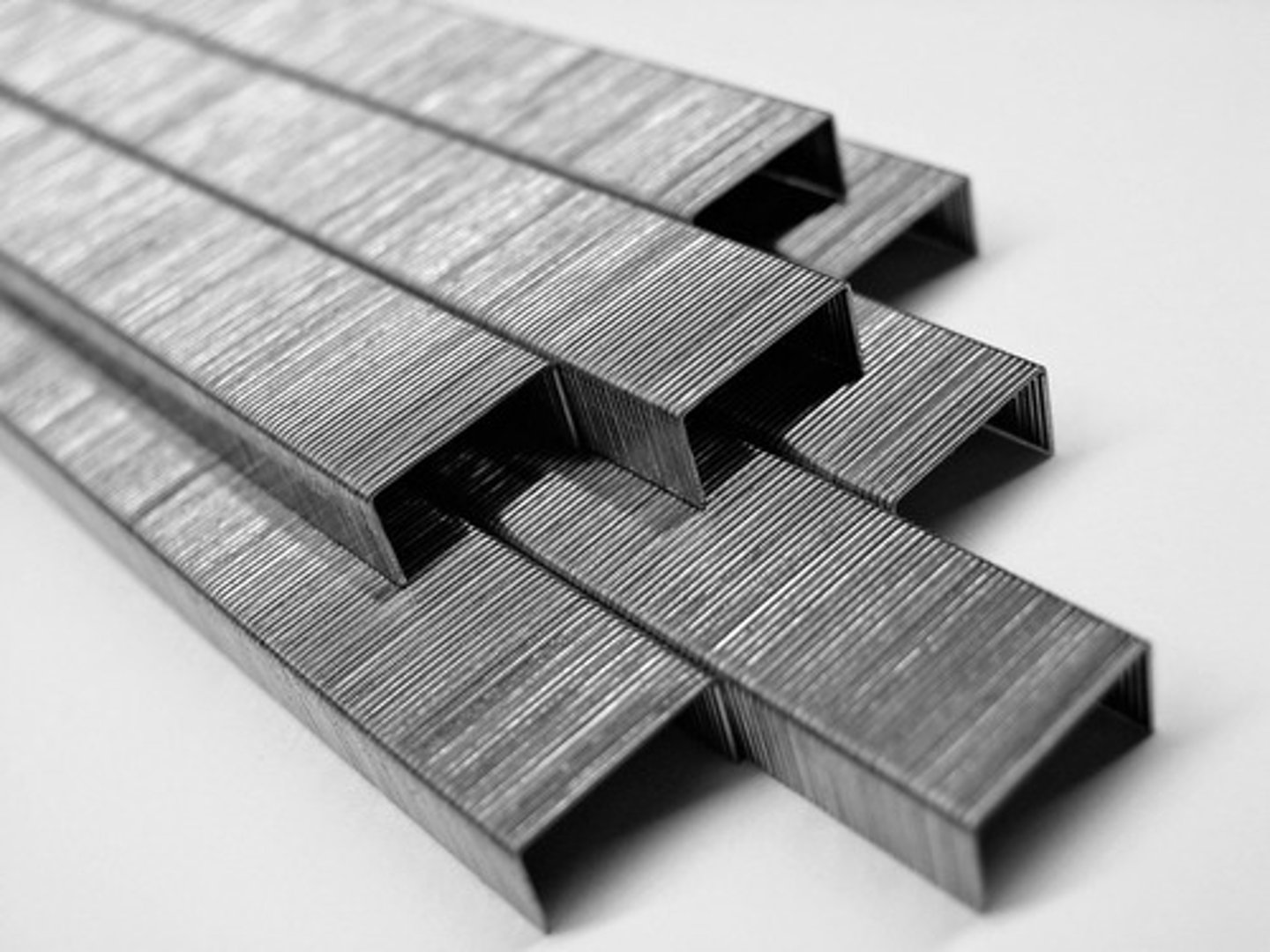 <p>the staple</p>