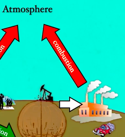 <p>When fossil fuels and other organic materials are <strong><span style="color: red">burned</span></strong>, carbon compounds are <strong><span style="color: yellow">released</span></strong> into the atmosphere.</p>