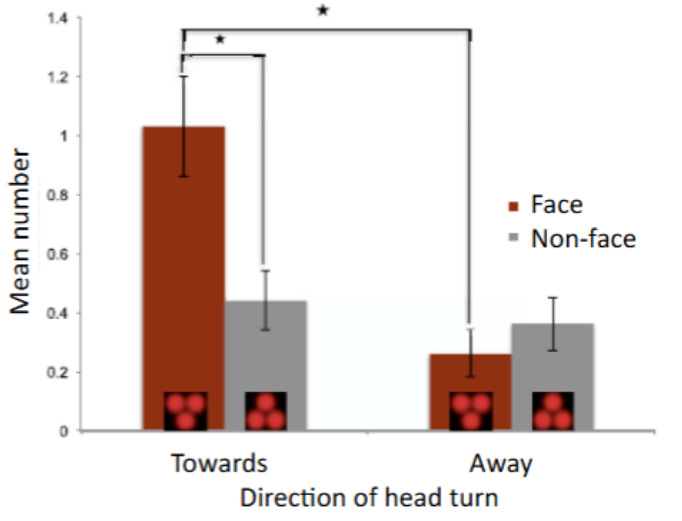 <ul><li><p>Preferences may emerge in the womb.</p></li><li><p>Shine a light through mother's stomach - either has face-like configuration or bottom-heavy configuration.</p></li><li><p>Infants turn their head towards face-like stimuli.</p></li></ul><p></p>