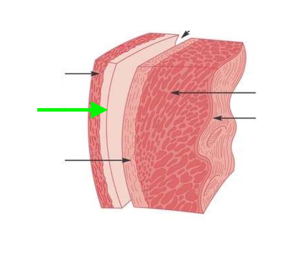 <p>what is this?</p>
