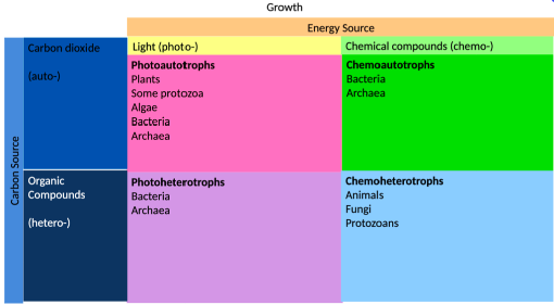 *See Chart*