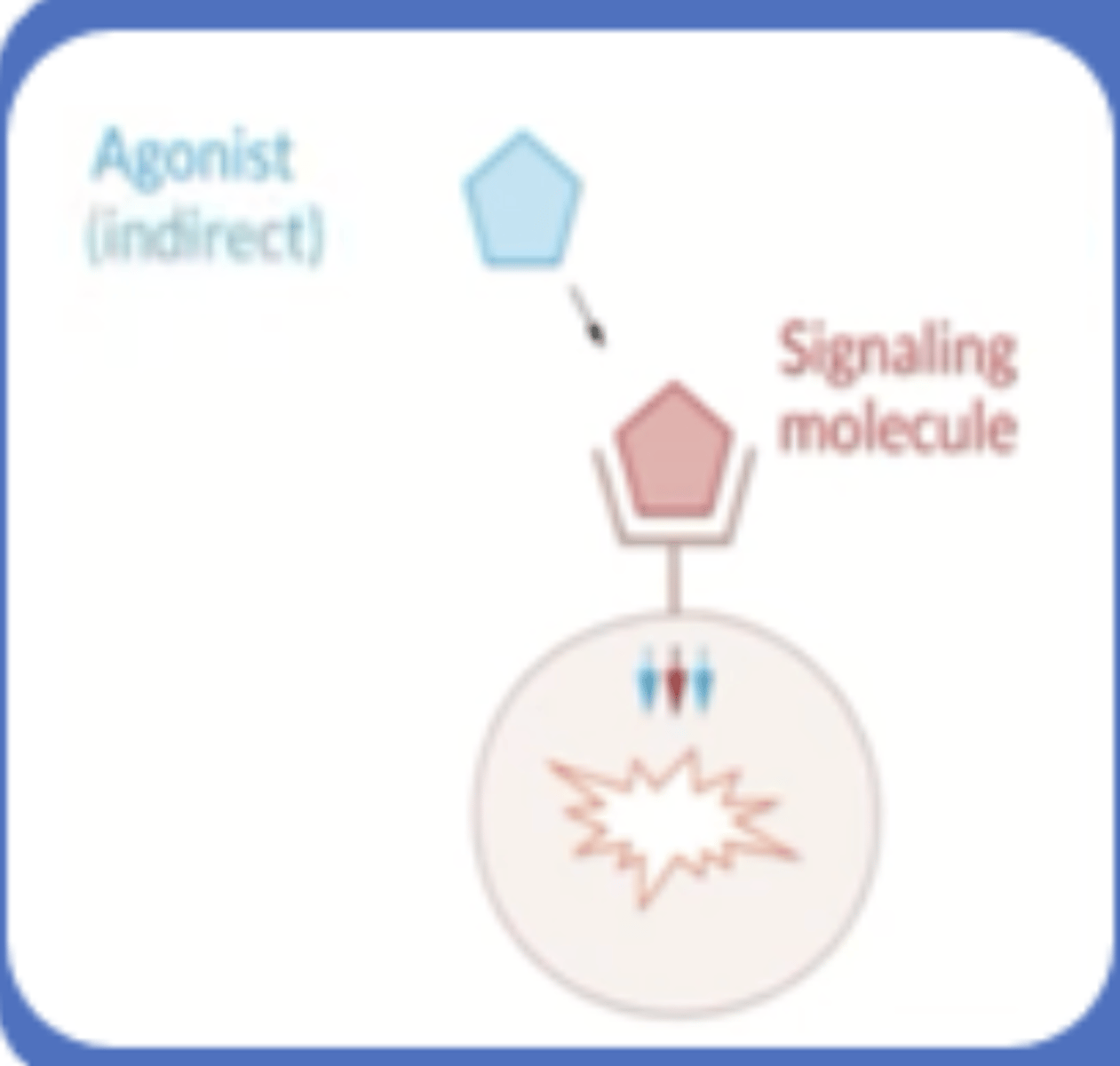 <p>selectively blocks neuronal re uptake of serotonin</p><p>FLUOXETINE</p>