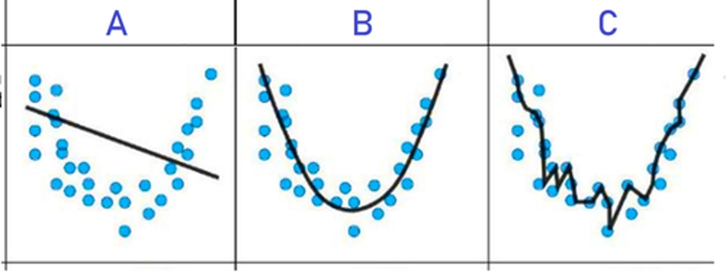 <p>a. C</p>