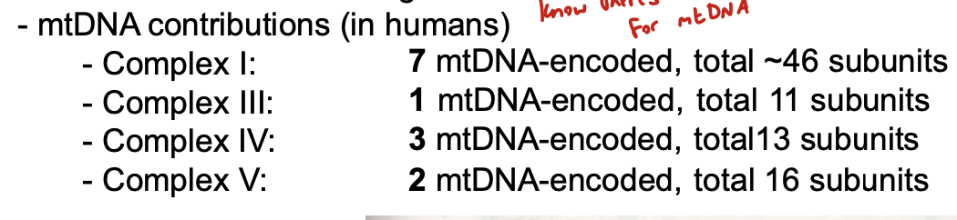 <p>13</p>