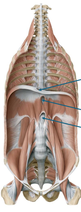 <p>top to bottom&nbsp;</p>