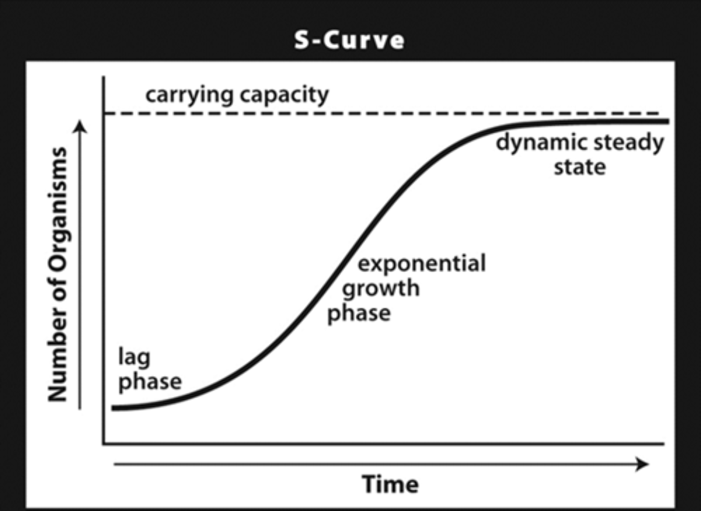 <p>a graph that shows the change in population size over time</p>