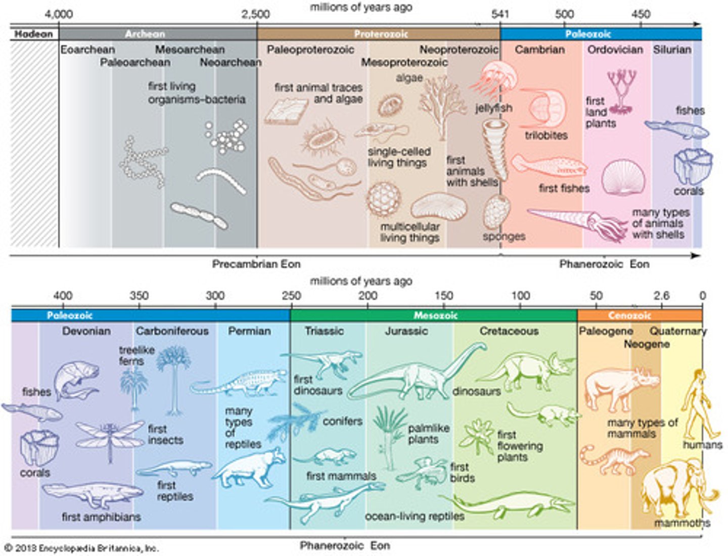 <p>Timeline of Earth's history and major events from its origin approximately 4.55 bya to the present</p>