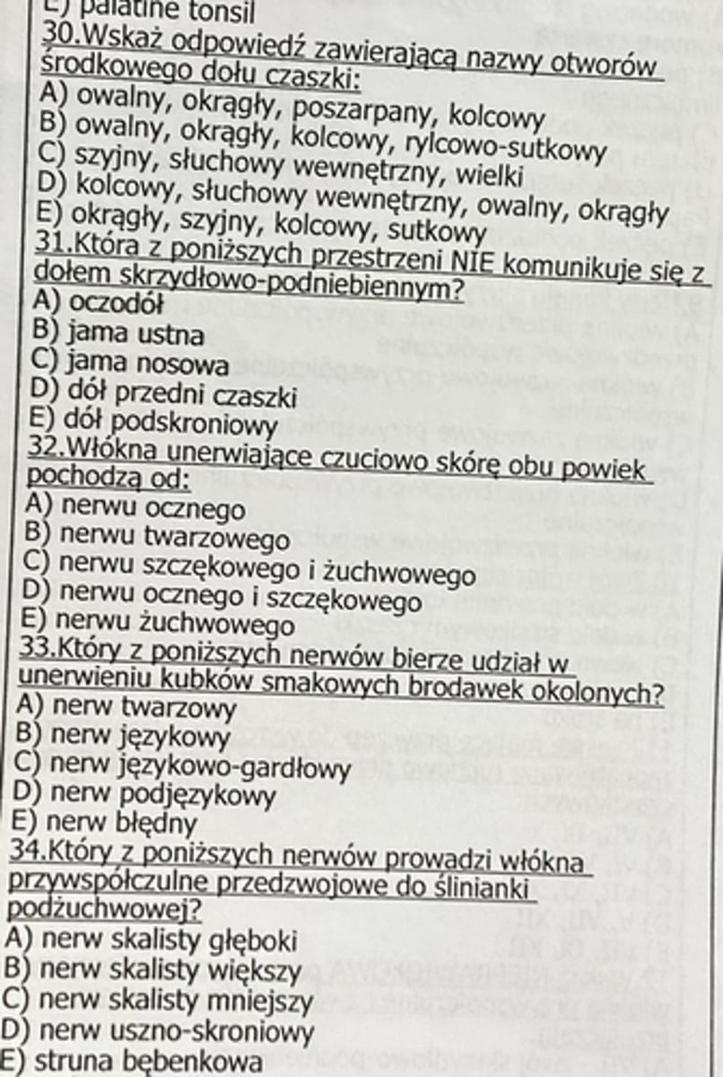 <p>32</p>