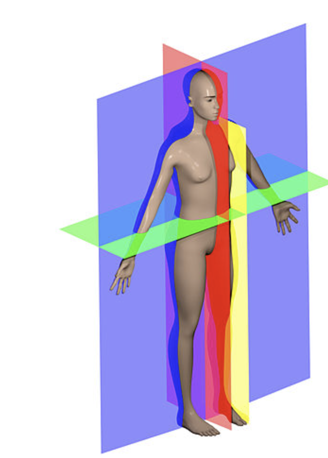 <p>What is the yellow plane? </p>