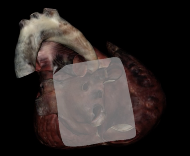 <p>What is highlighted in grey?</p>