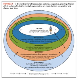 <p>Is a psychological theory that explains how social environments affect children’s development. The theory views child development as a complex system of relationships affected by multiple levels of the surrounding environment, from immediate family and school settings to broad cultural values, laws, and customs. The theory also emphasizes that a child’s own biology is a primary environment fueling her development.</p>