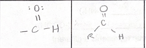 <p>which functional group</p>