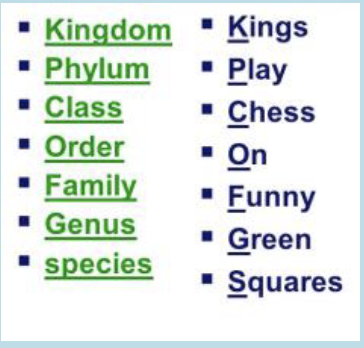 <p>Kingdom Phylum Class Order Family Genus Species</p>
