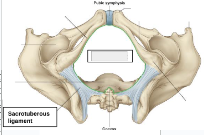 <p>what structure is that?</p>
