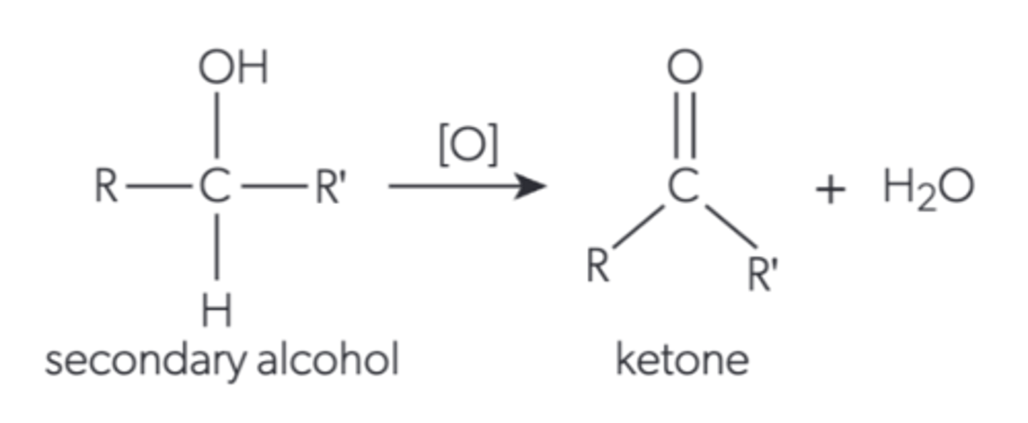 <p>it becomes a ketone because the hydroxyl is oxidised into a carbonyl and water is lost</p>
