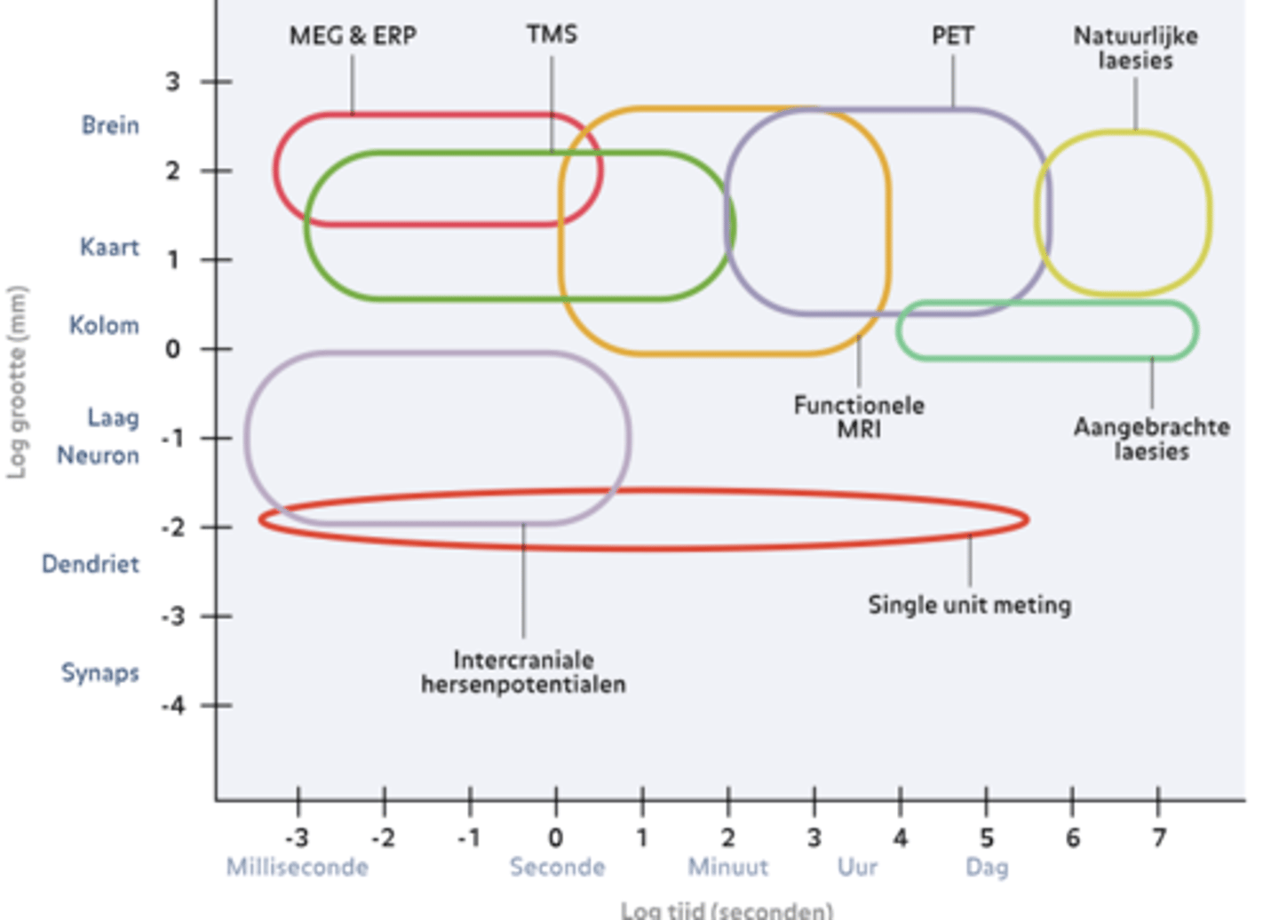 <p>EEG/MEG → snel, maar minder precies waar</p><p>fMRI → traag, maar precies waar</p><p>Single-unit → snel én heel precies, maar invasief</p><p>PET en laesies → traag, maar informatief op lange termijn</p>