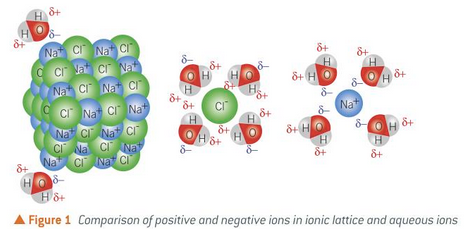 <p>the ions separate and are surrounded by water molecules</p><p>the negative oxygen atom is attracted to the positive sodium ion</p><p>the positive hydrogen atoms are attracted to the negtaive chloride ion</p>