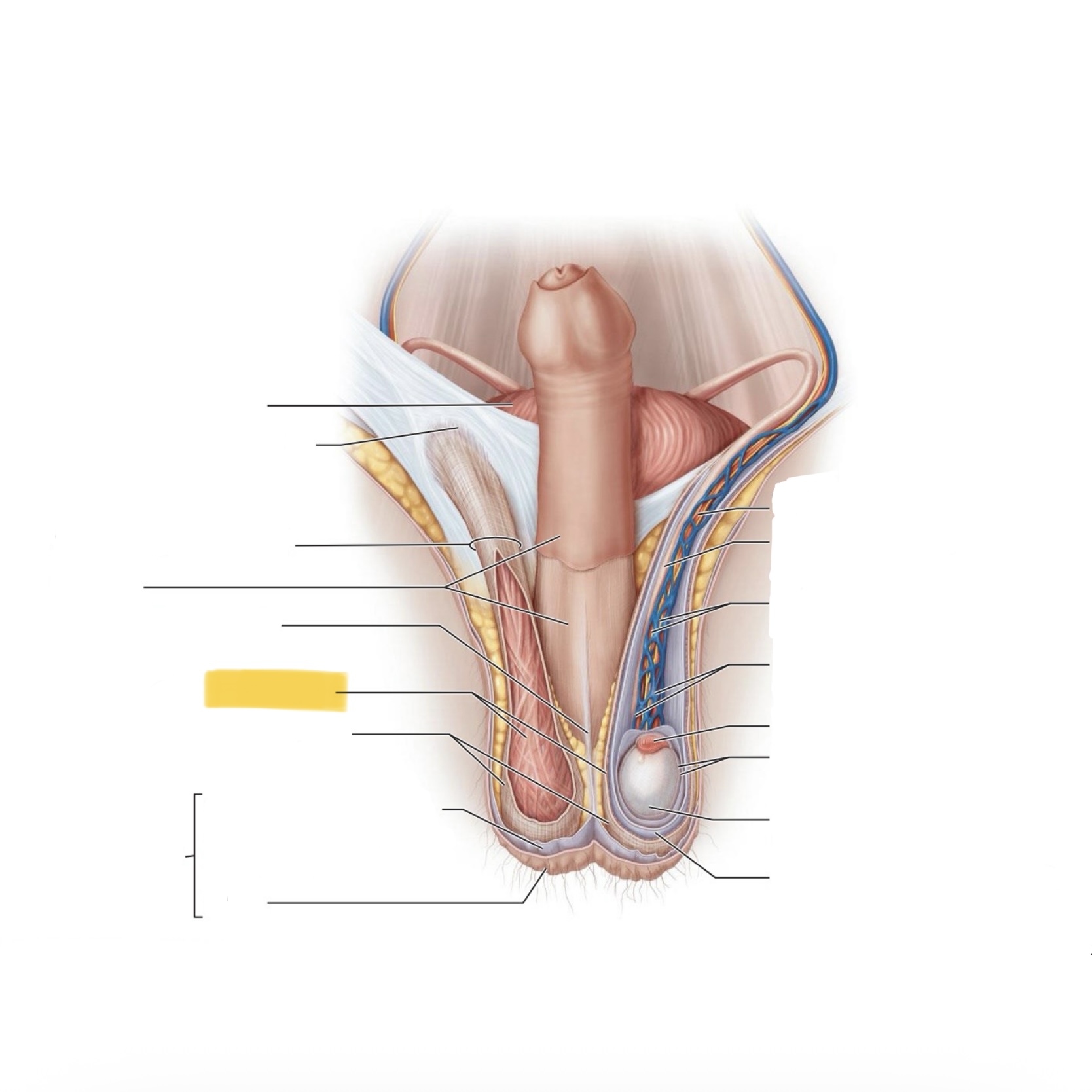 <p>What is this structure?</p>