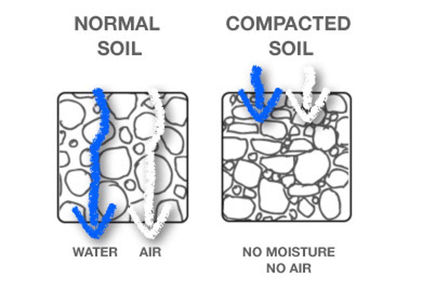 <p>It increases infiltration</p>