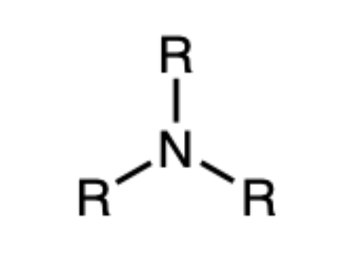 <p></p>