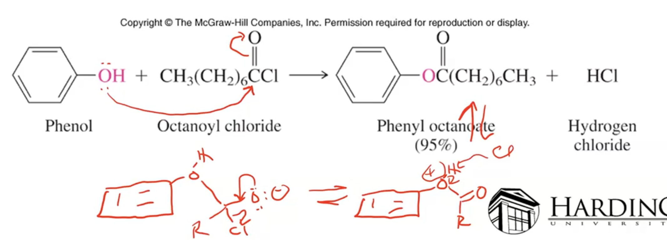 Without Lewis acid catalyst= O-acylation