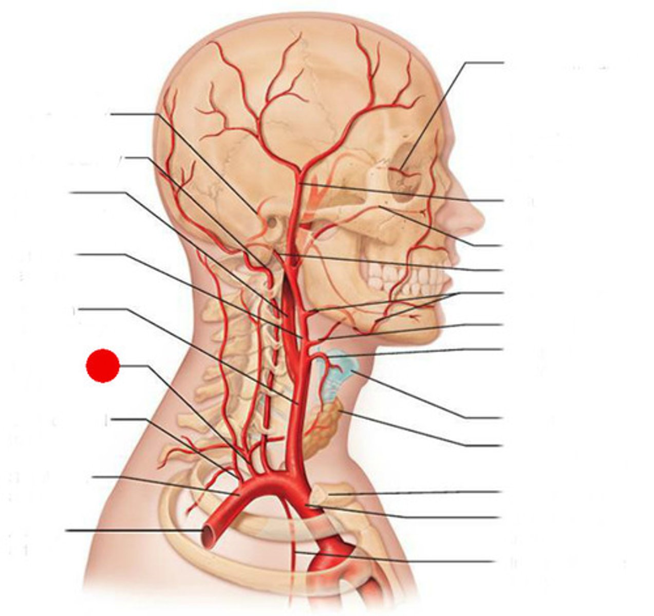 <p>CHANGE PICTURE</p>