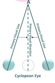 <p>under binocular viewing conditions, every visual line in one eye within the binocular visual field has a <strong>corresponding visual line</strong> in the other eye which will share (or transfer to) the same or identical <strong>visual direction</strong></p>
