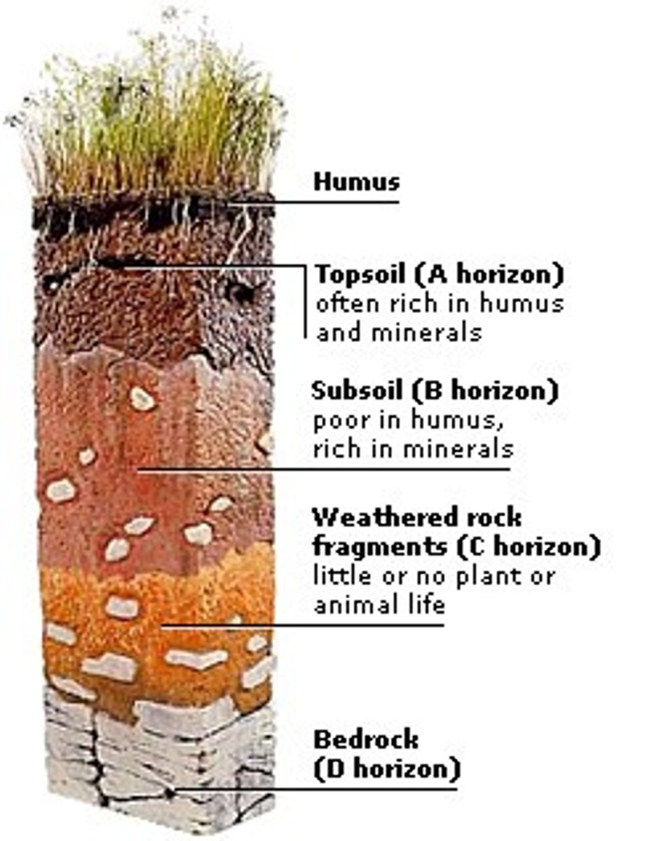 <p>solid unweathered rock lying beneath surface deposits of soil</p>