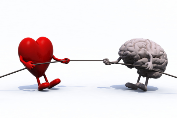 <p><span><span>tác nhân kích hoạt cảm xúc</span></span></p>