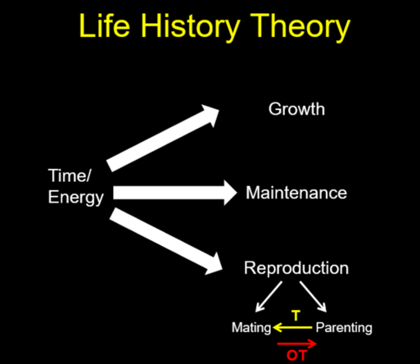 <p>A different way to describe a species; physical, behavioral, etc. traits that describe the shape of the life cycle.</p><p>Examples: When to be born, How many offspring per litter, How fast to grow, When to wean/when to reach maturity, When to die</p>
