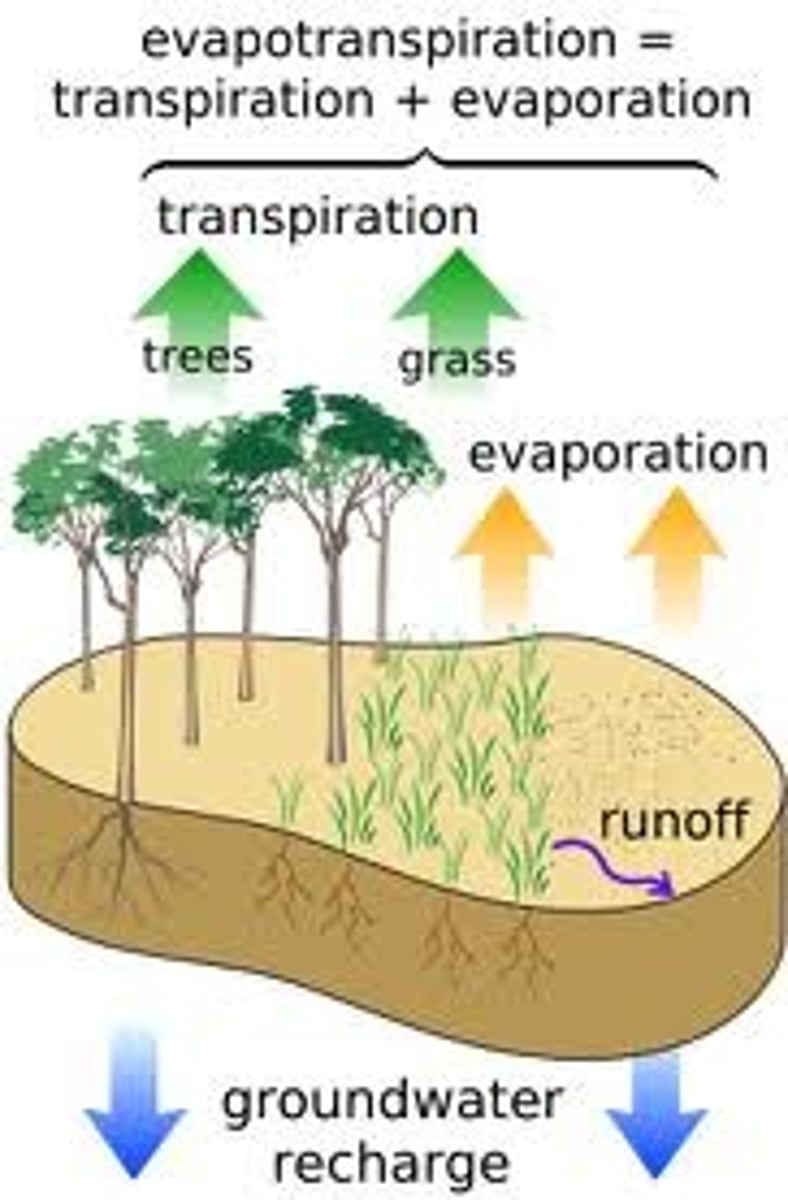 <p>The combined amount of evaporation and transpiration</p>